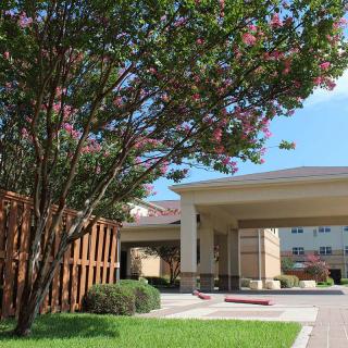 A sunny view of a building entrance surrounded by lush landscaping and a tree in bloom.