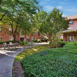 A serene garden with a pathway, surrounded by trees and shrubs, adjacent to a building.