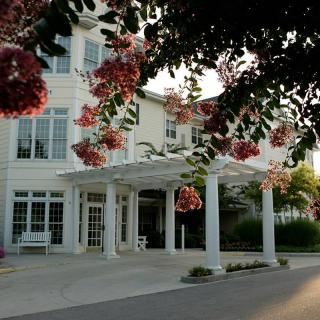 A charming building entrance adorned with colorful flowers and classic architectural elements.