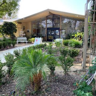 A modern architectural design surrounded by lush greenery and palm trees.
