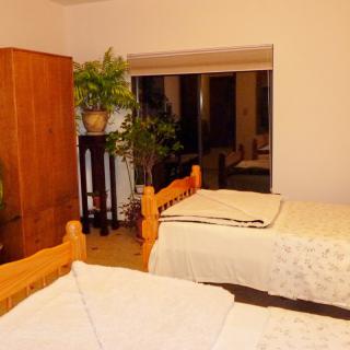 A cozy bedroom with twin wooden beds, a wardrobe, and plants by the window at night.