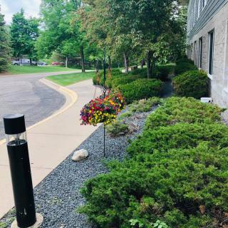 A well-maintained garden with shrubs and colorful flowers along a walkway.