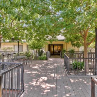 A shaded pathway leading to a building entrance flanked by trees.