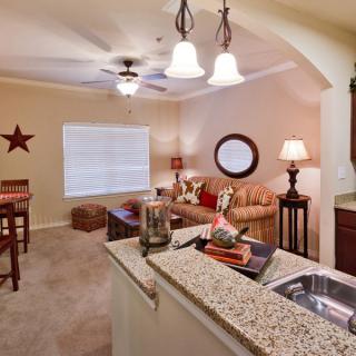 A cozy living room with an open kitchen, featuring a granite countertop and stylish furnishings.