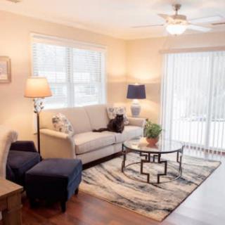 A cozy and well-lit living room with a comfortable sofa, stylish rug, and modern decor.