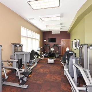 A modern gym with exercise equipment and natural lighting.