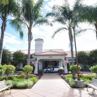 The entrance of a hotel flanked by palm trees and well-maintained landscaping.
