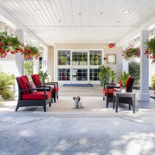 A cozy patio area with red-cushioned chairs and a small dog sitting in the center.
