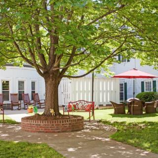 A serene backyard patio area featuring a large tree with a circular brick seating area, surrounded by outdoor furniture and a red sun umbrella.