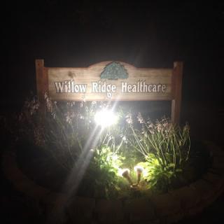 A illuminated sign for Willow Ridge Healthcare surrounded by plants at night.