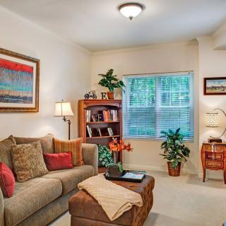 A cozy living room with a comfortable sofa, decorative pillows, a bookcase, and indoor plants.