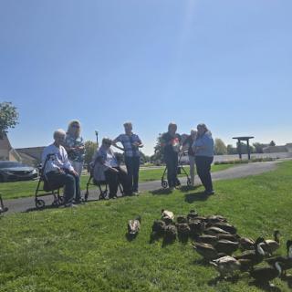 A community gathering on a sunny day, capturing moments of joy and connection.