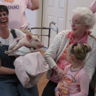 A joyful gathering with an elderly woman, a child, and others enjoying the company of a piglet indoors.