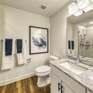 A modern bathroom featuring a granite countertop, framed artwork, and wooden flooring.