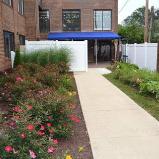 A beautifully landscaped garden with colorful flowers and a paved pathway leading to a building entrance.