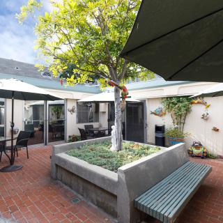 A serene courtyard with a central tree, surrounded by outdoor seating and shaded by large umbrellas.