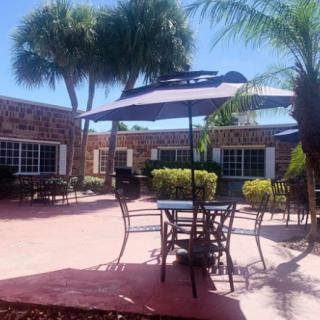A sunny patio with outdoor seating and palm trees.