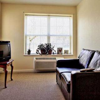 A minimalist living room featuring a sofa and a television with natural light streaming through the window.