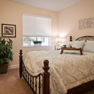 A cozy bedroom with a large bed, decorative pillows, and a bedside lamp, featuring a potted plant near the window.