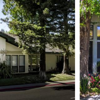 A suburban house surrounded by tall trees on a sunny day.
