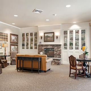 Cozy and inviting living room with a fireplace, bookshelves, and elegant decor.