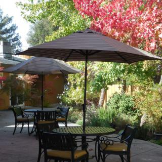 A peaceful patio with tables and umbrellas surrounded by vibrant autumn foliage.