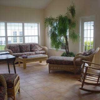 A cozy living room with comfortable seating, large windows, and a lush indoor plant.