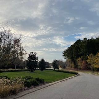 A peaceful road lined with trees under a cloudy sky.