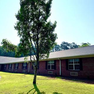 A single tree standing in front of a brick building with windows, surrounded by a well-maintained lawn and clear blue sky.