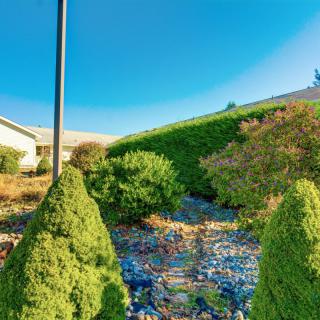 A landscaped garden with a pathway surrounded by various shrubs and small trees under a clear blue sky.