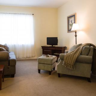 A cozy living room with sofas, an armchair, a lamp, and a small television.