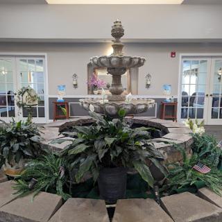 A beautiful indoor fountain surrounded by lush plants, creating a serene atmosphere.