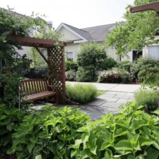 A lush garden with a wooden swing under a pergola, surrounded by greenery and a stone patio.