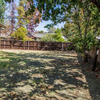 A peaceful backyard with trees casting gentle shadows on the grassy lawn.