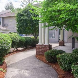 A walkway surrounded by lush greenery leads to the entrance of a residential building.