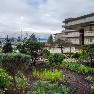 A lush garden with various plants and a modern building under a cloudy sky.