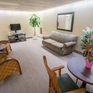 A cozy living room with a sofa, television, mirror, and indoor plants.