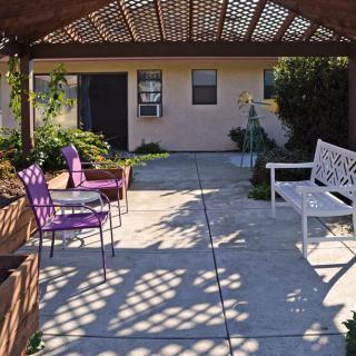 A cozy outdoor patio area with a pergola, featuring purple chairs and a white bench beneath dappled sunlight.