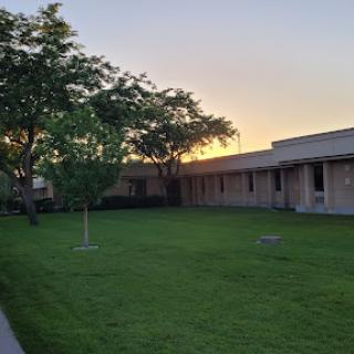 A peaceful view of a building surrounded by lush green grass and a tree, illuminated by the warm colors of the sunset.