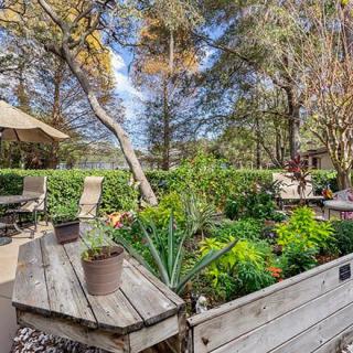 A serene garden with lush greenery and patio furniture set amidst tall trees.