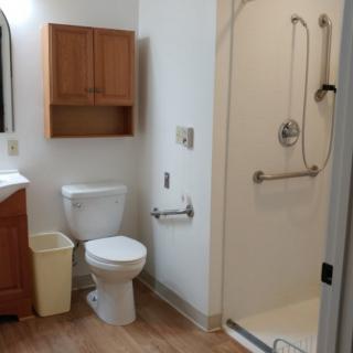 A bathroom with a toilet, shower, sink, and wooden cabinet.