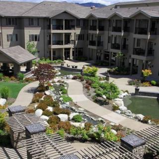 A beautifully landscaped courtyard with a variety of plants and walkways in an apartment complex.