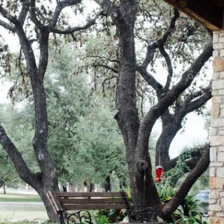 A serene outdoor scene featuring a large tree and a cozy bench, inviting visitors to relax in nature.