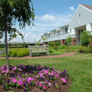 A scenic garden with blooming flowers, a wooden bench, and houses in the background under a clear blue sky.