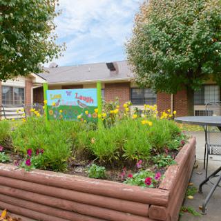 A vibrant community garden filled with flowers, surrounded by a building and trees.