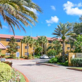 A welcoming hotel entrance lined with palm trees under a clear blue sky.