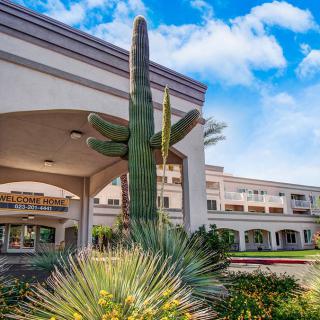 A large cactus stands prominently in front of a hotel building under a blue sky.