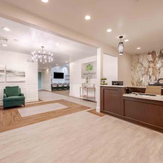 A modern reception area featuring elegant design elements and a welcoming atmosphere.
