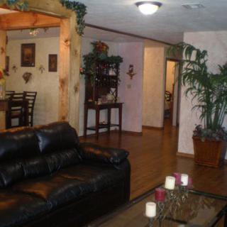 A cozy living room with a black leather sofa, wooden flooring, and decorative plants.