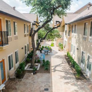 A serene courtyard between apartment buildings with lush greenery and a central tree.